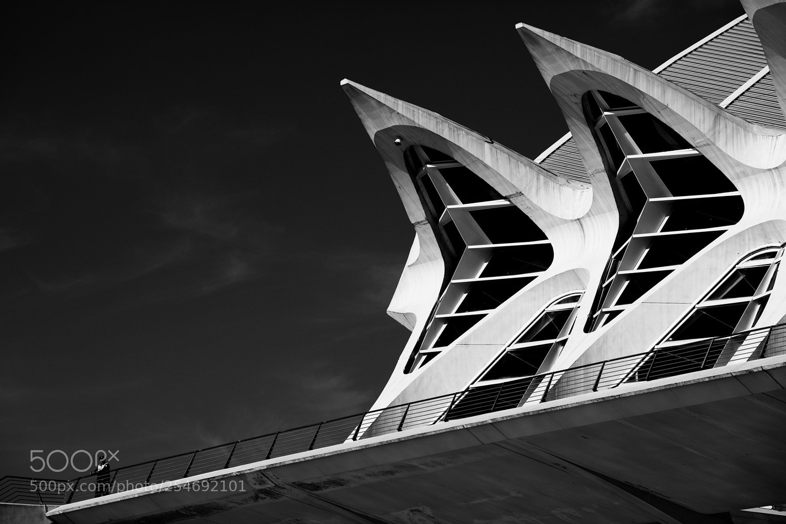 Canon EOS 5D Mark II sample photo. El vigilante photography