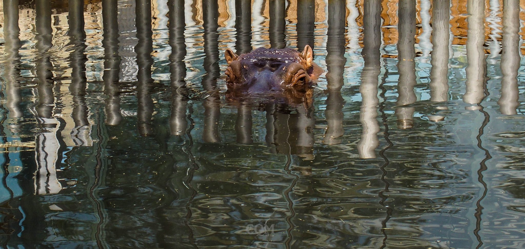 Olympus PEN E-P5 sample photo. Deep look photography