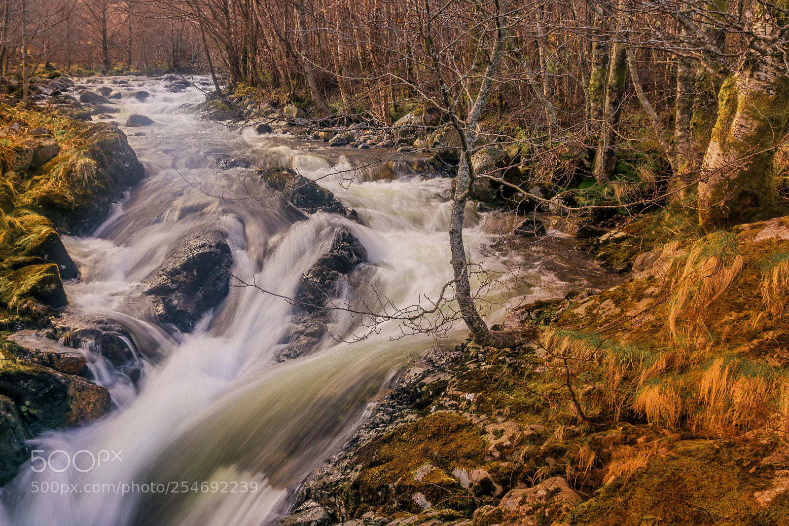Nikon D5300 sample photo. Mountain river photography