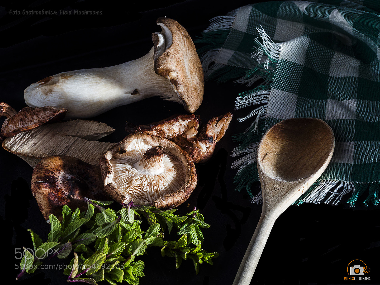 Olympus OM-D E-M1 Mark II sample photo. Mushrooms field photography