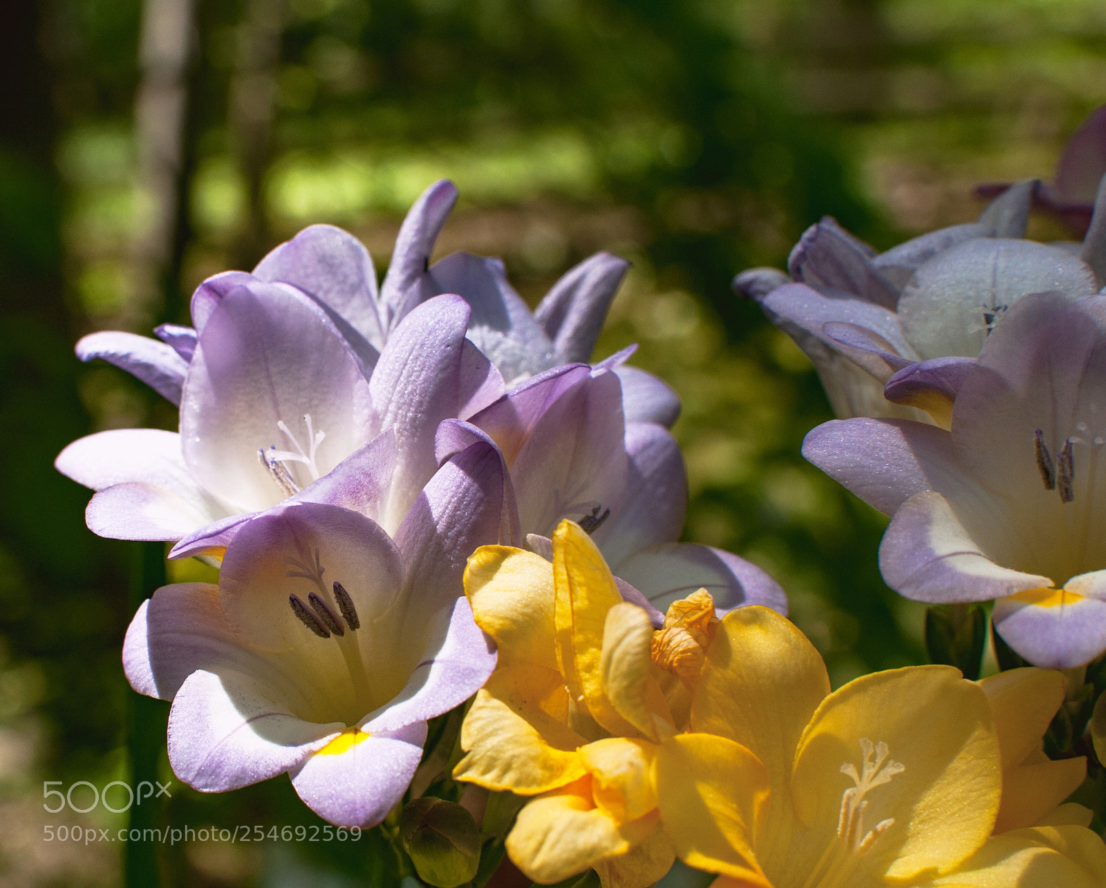 Nikon D90 sample photo. Untitled photography