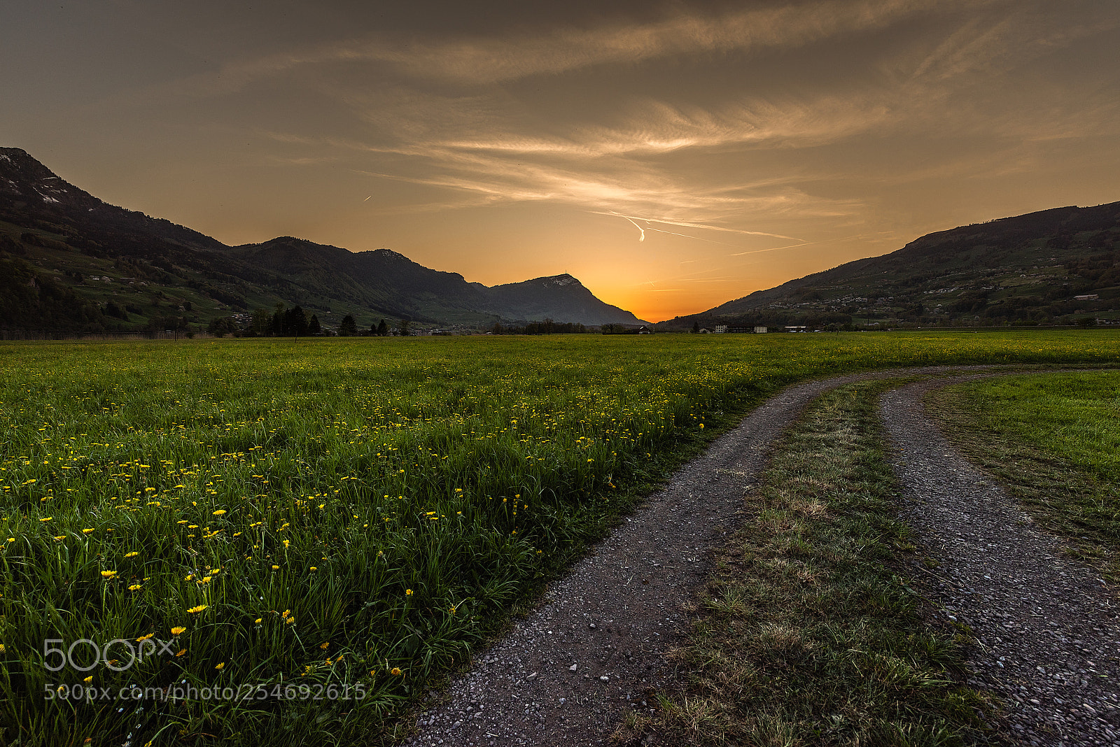 Nikon D810 sample photo. Earth day photography