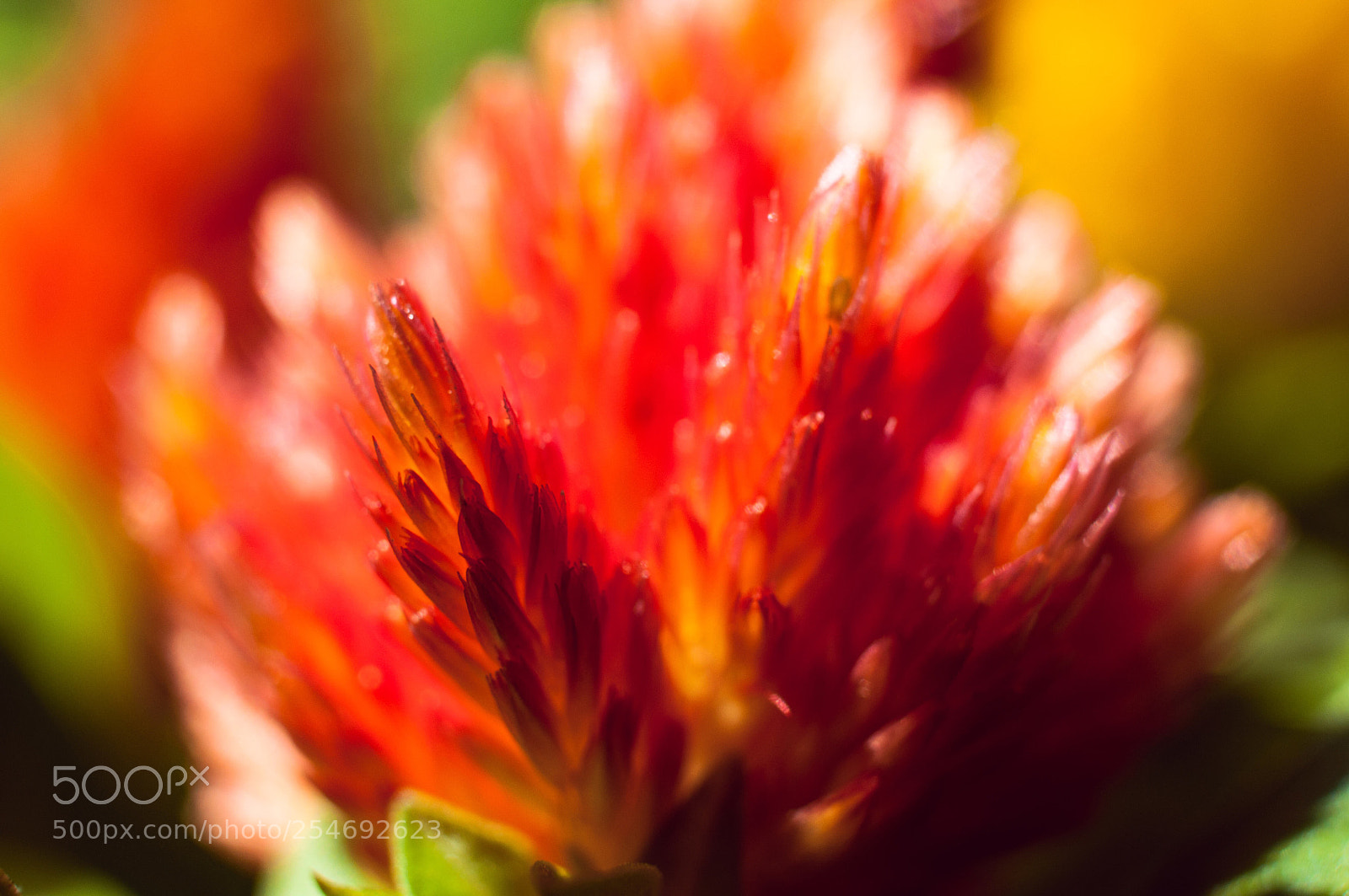 Nikon D90 sample photo. Untitled photography