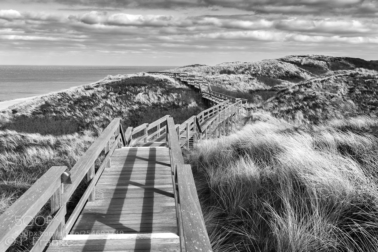 Canon EOS 7D Mark II sample photo. Weg dunes photography