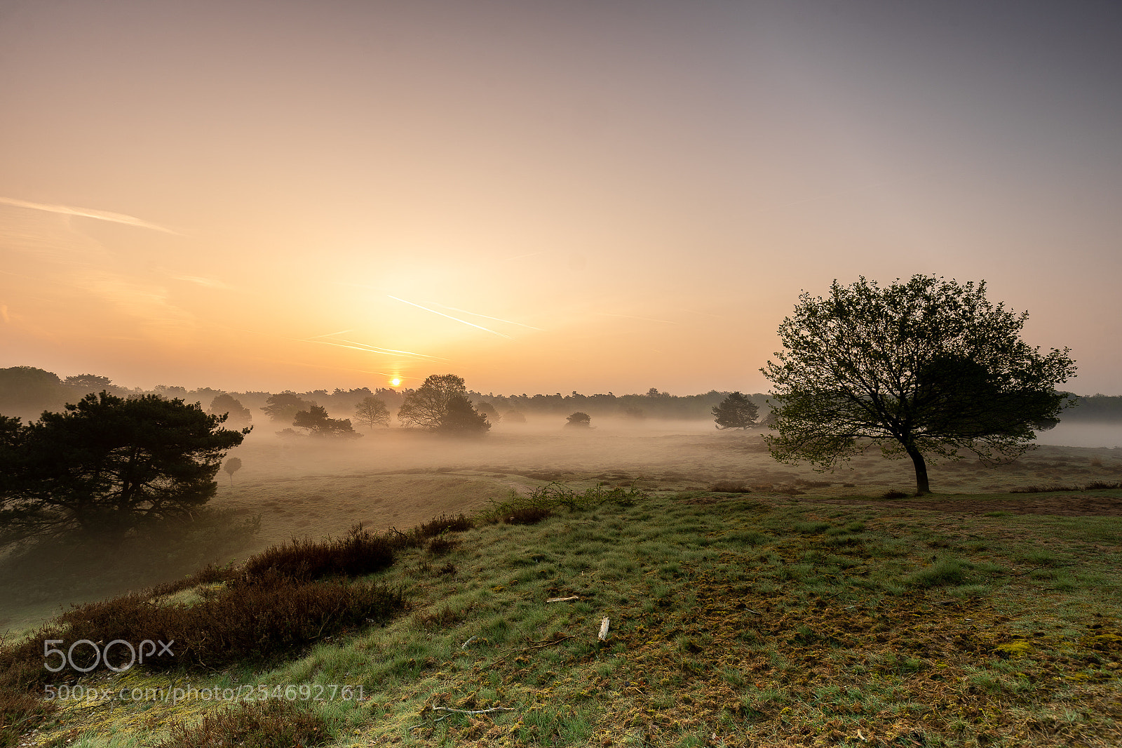 Sony a7 III sample photo. Sunrise photography