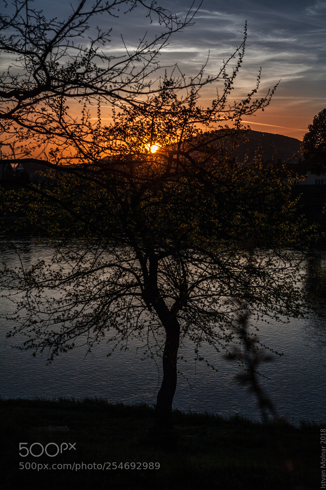 Canon EOS 5D Mark II sample photo. Spring sunset photography
