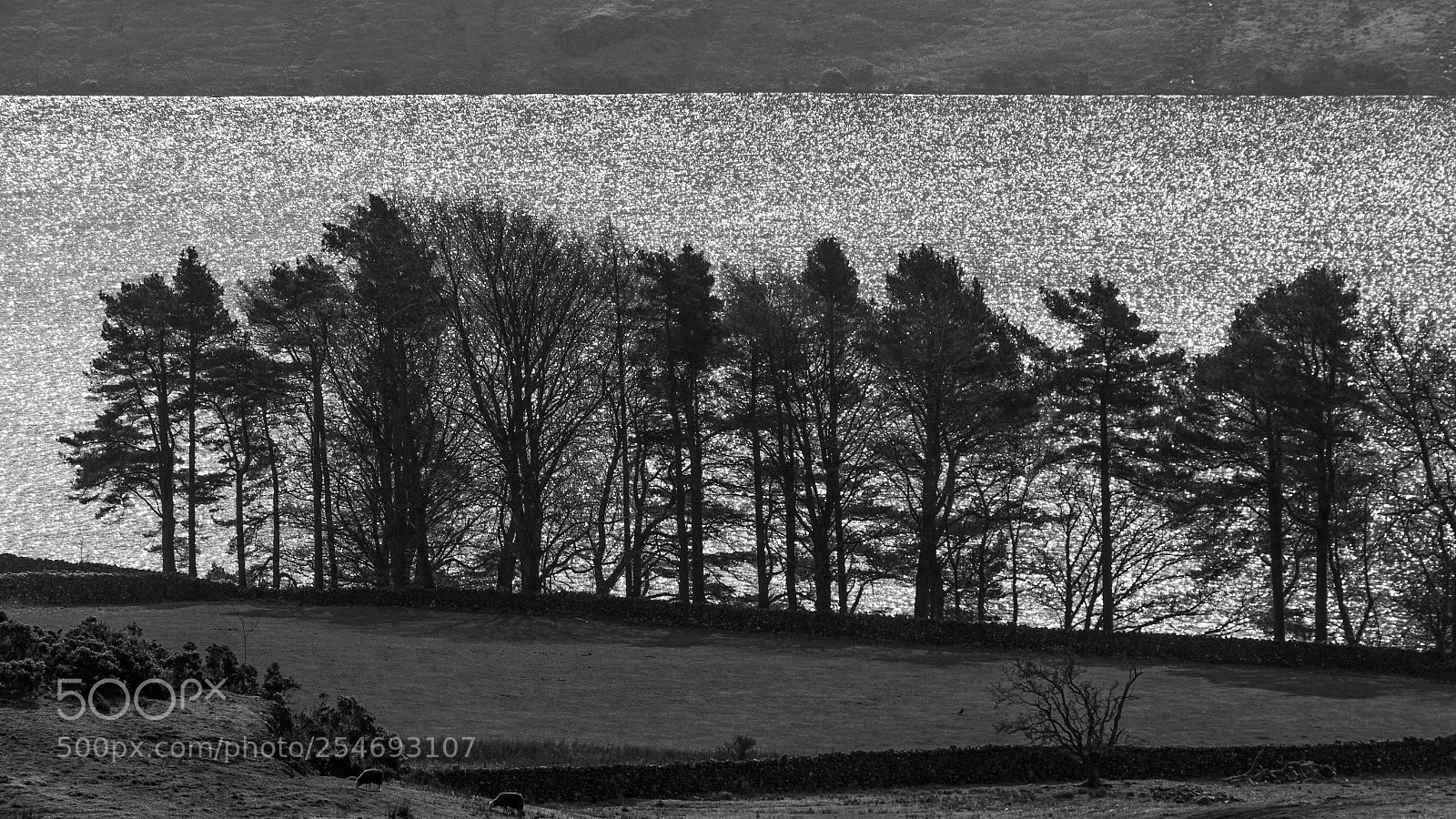 Canon EOS 700D (EOS Rebel T5i / EOS Kiss X7i) sample photo. Light on the water photography