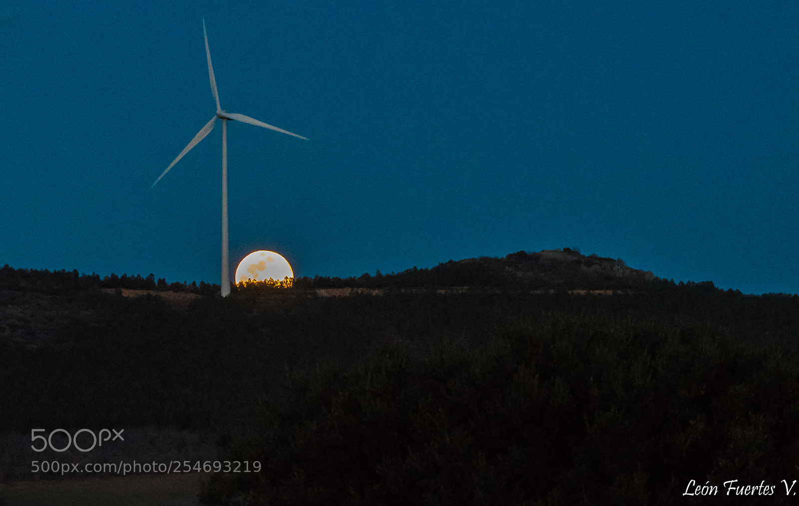 Nikon D7500 sample photo. Aerogenerador y luna llena photography