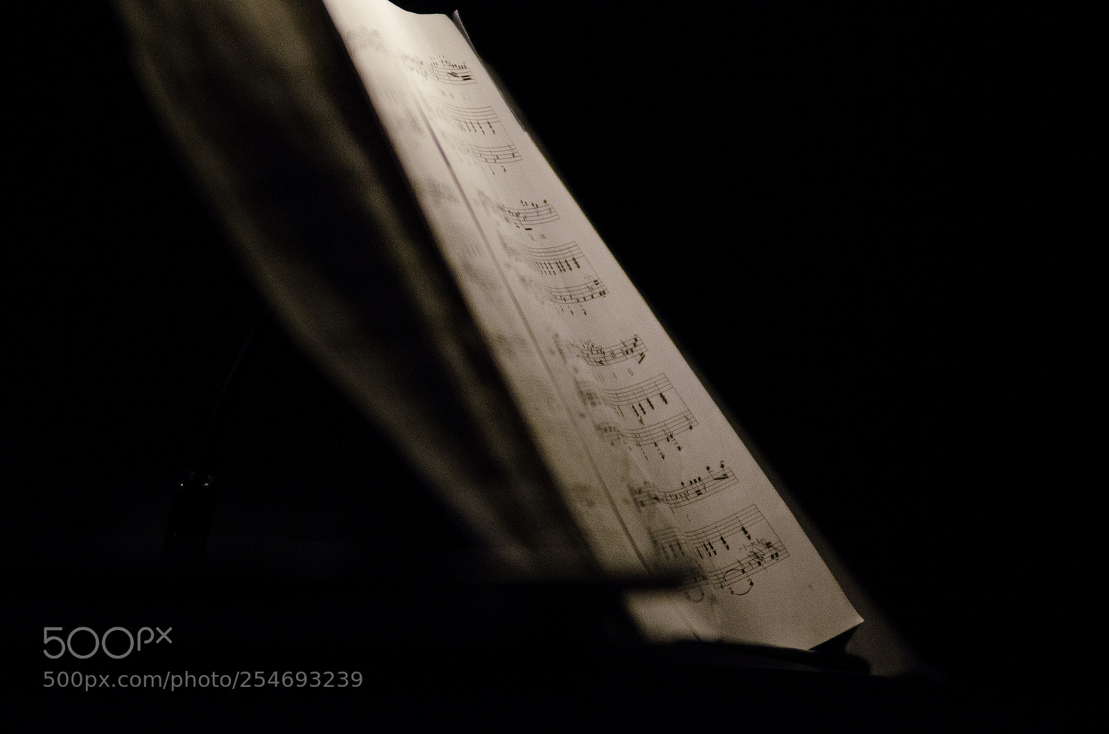 Nikon D7000 sample photo. Notes pour piano photography