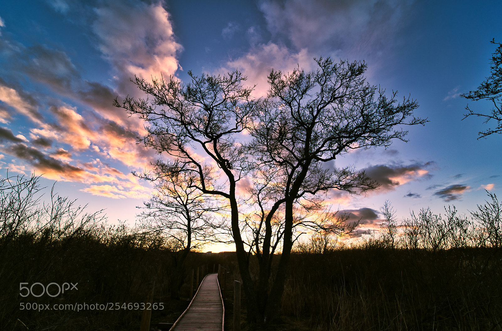 Sony a7R II sample photo. Lammassaari photography