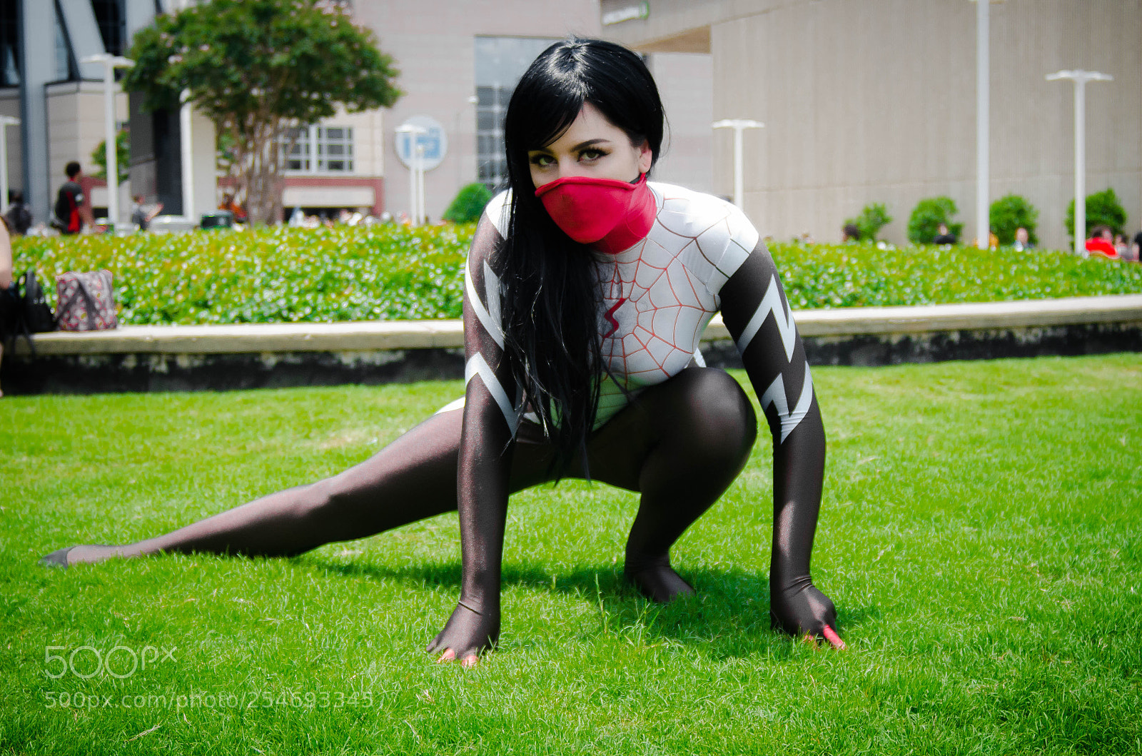 Nikon D7000 sample photo. Spide gwen photography