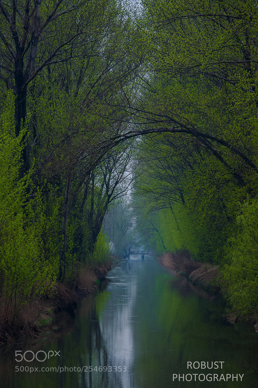 Nikon D700 sample photo. Untitled photography