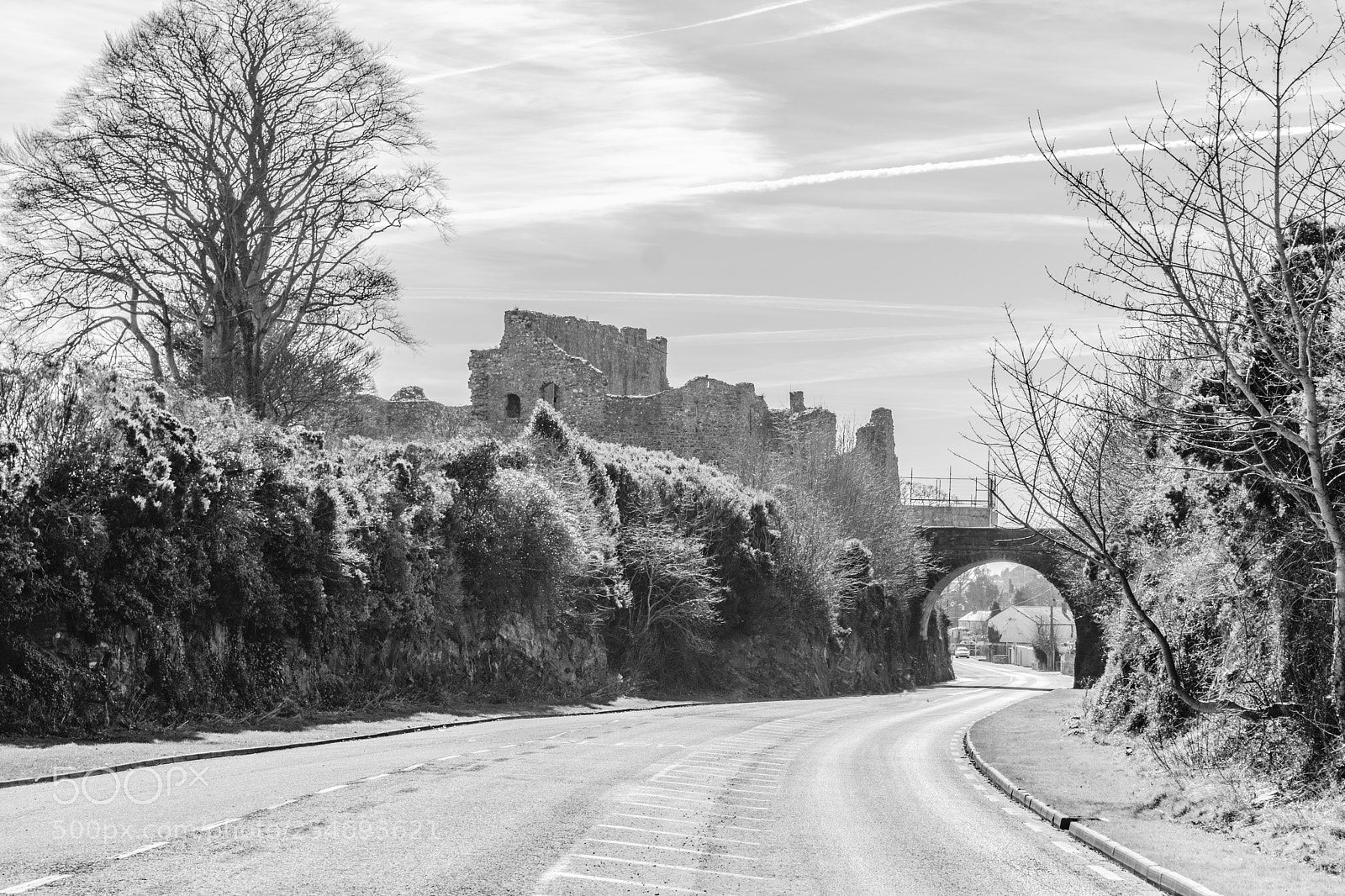 Nikon D5300 sample photo. Castle in b&w photography