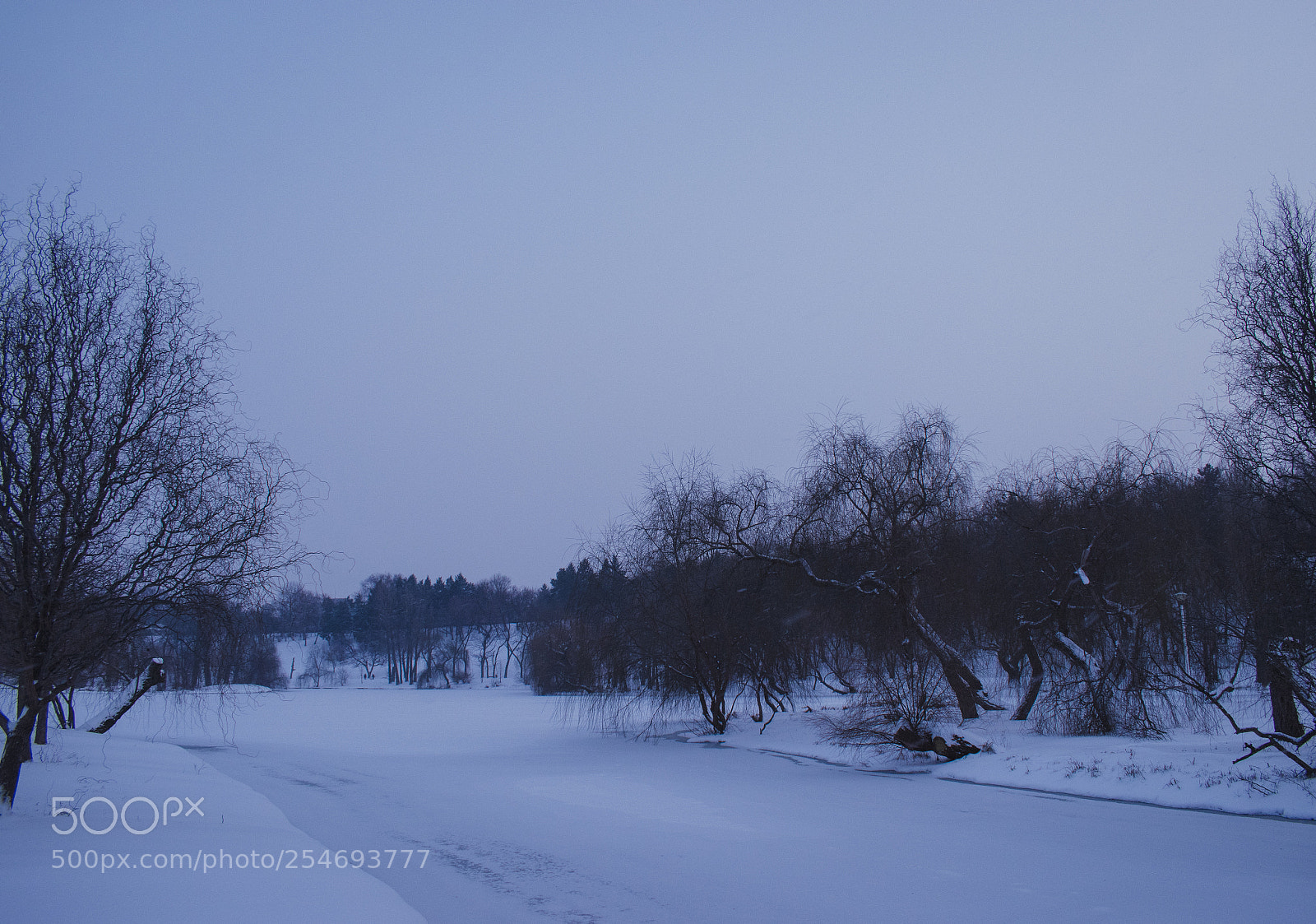 Nikon D5600 sample photo. Winter in bucharest photography