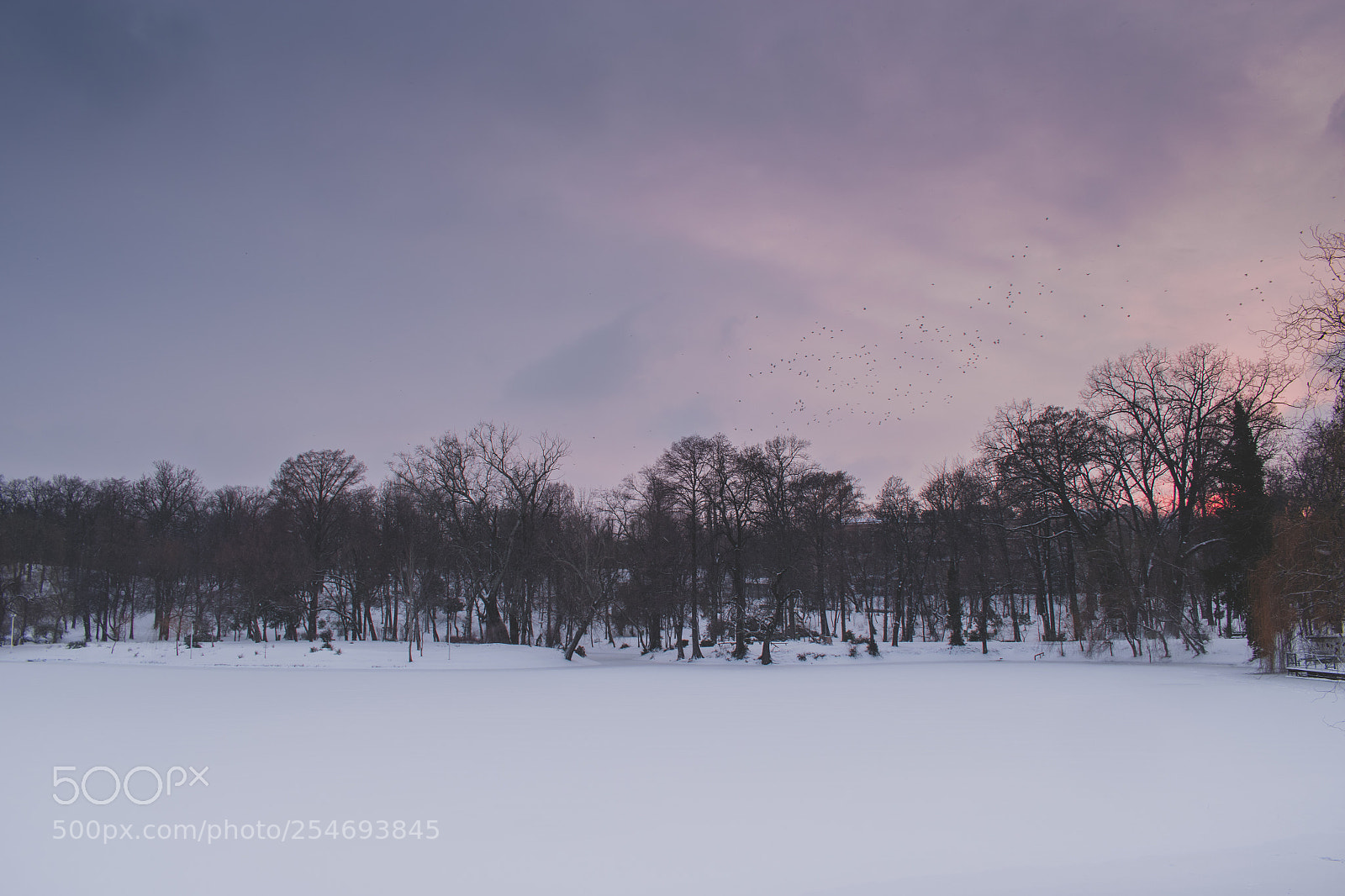 Nikon D5600 sample photo. Winter photography