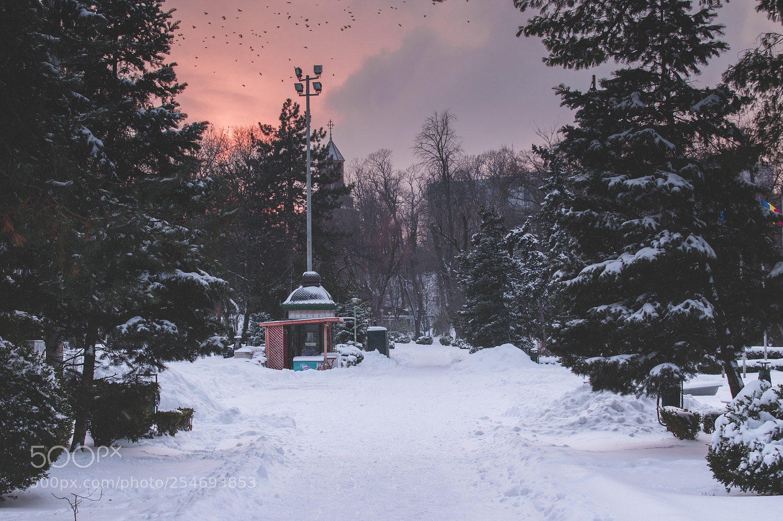 Nikon D5600 sample photo. Sunset photography
