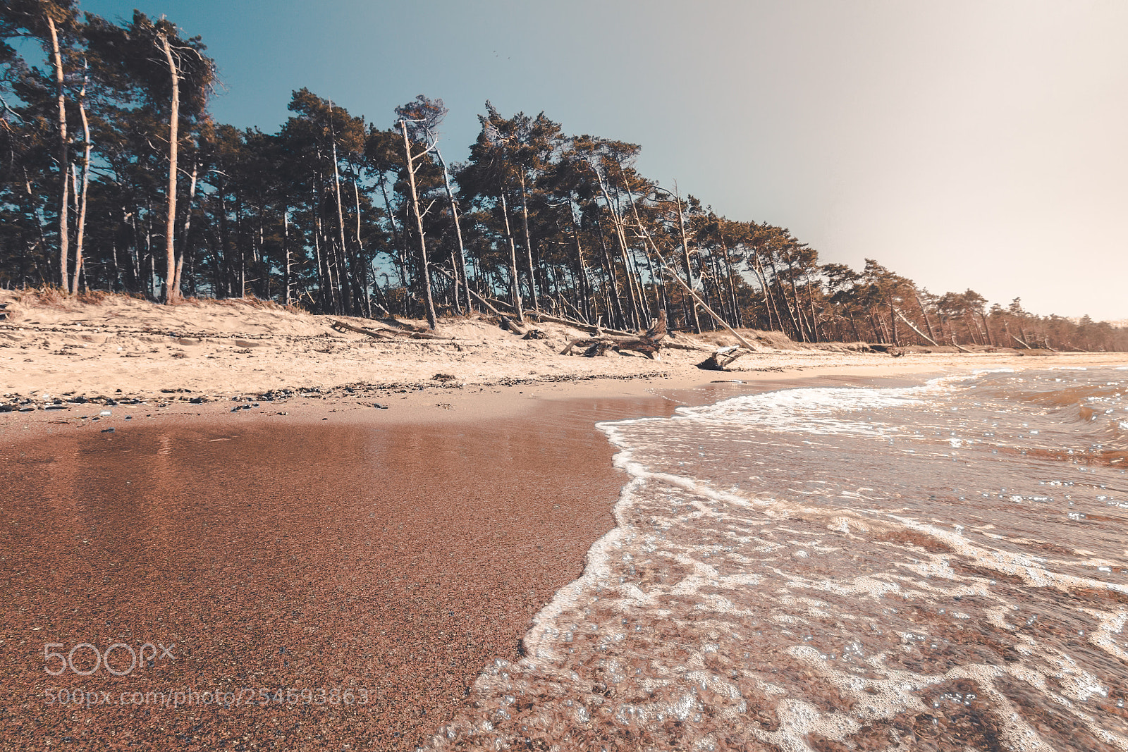 Canon EOS 60D sample photo. Baltic paradise photography
