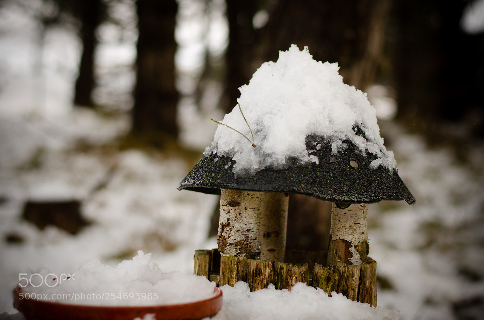 Nikon D7000 sample photo. Vogelhaus im schnee photography
