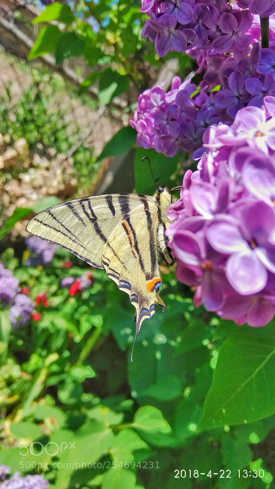 Xiaomi Redmi Note 4 sample photo. Untitled photography