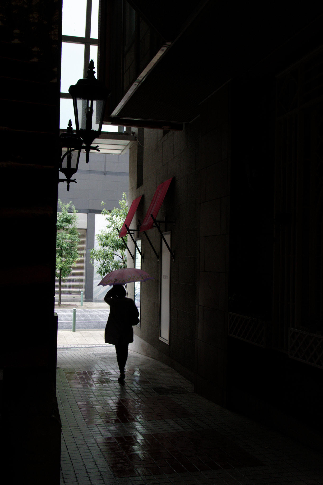 Pentax smc DA* 16-50mm F2.8 ED AL (IF) SDM sample photo. Rainy day photography