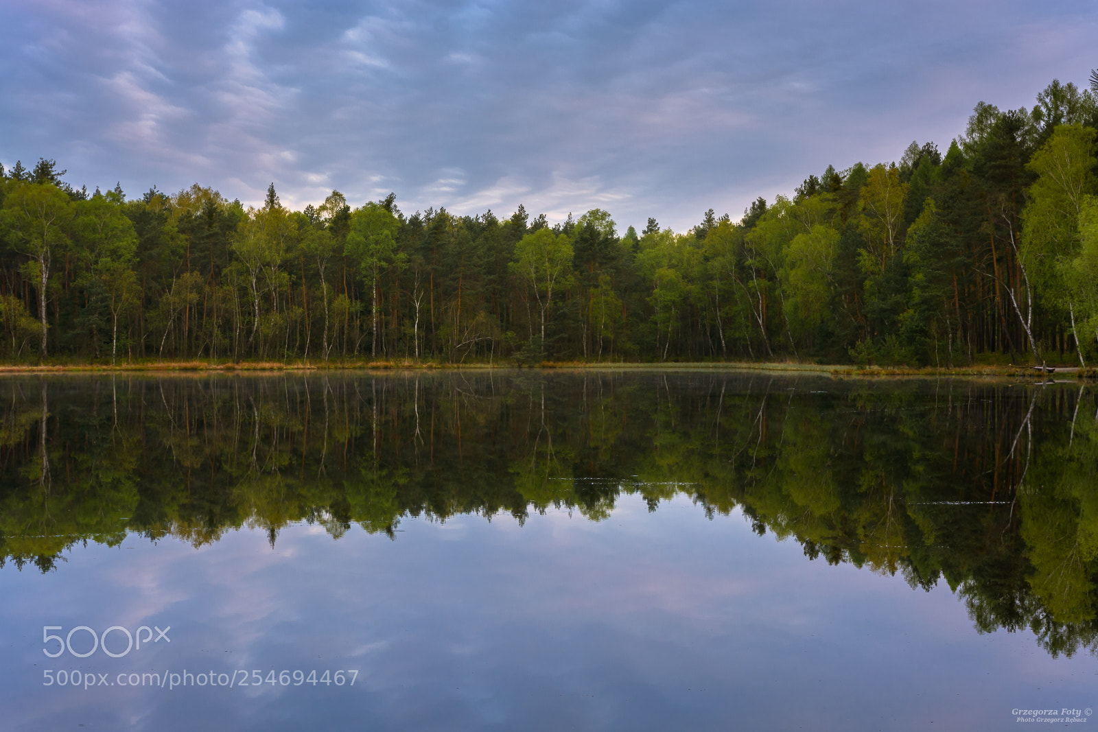 Nikon D7100 sample photo. Symmetry photography