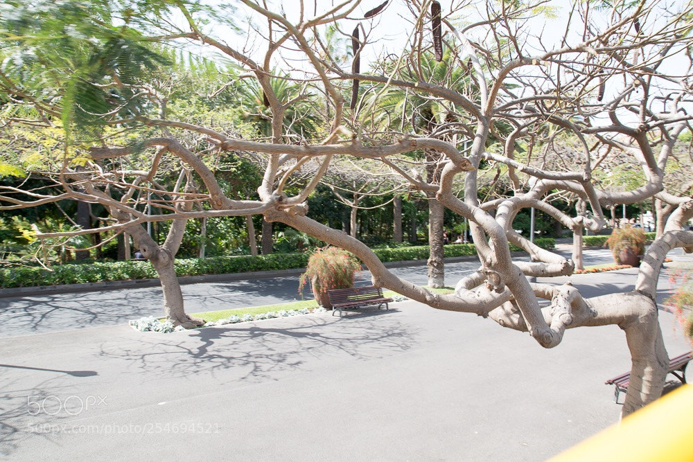 Nikon D7100 sample photo. Untitled photography