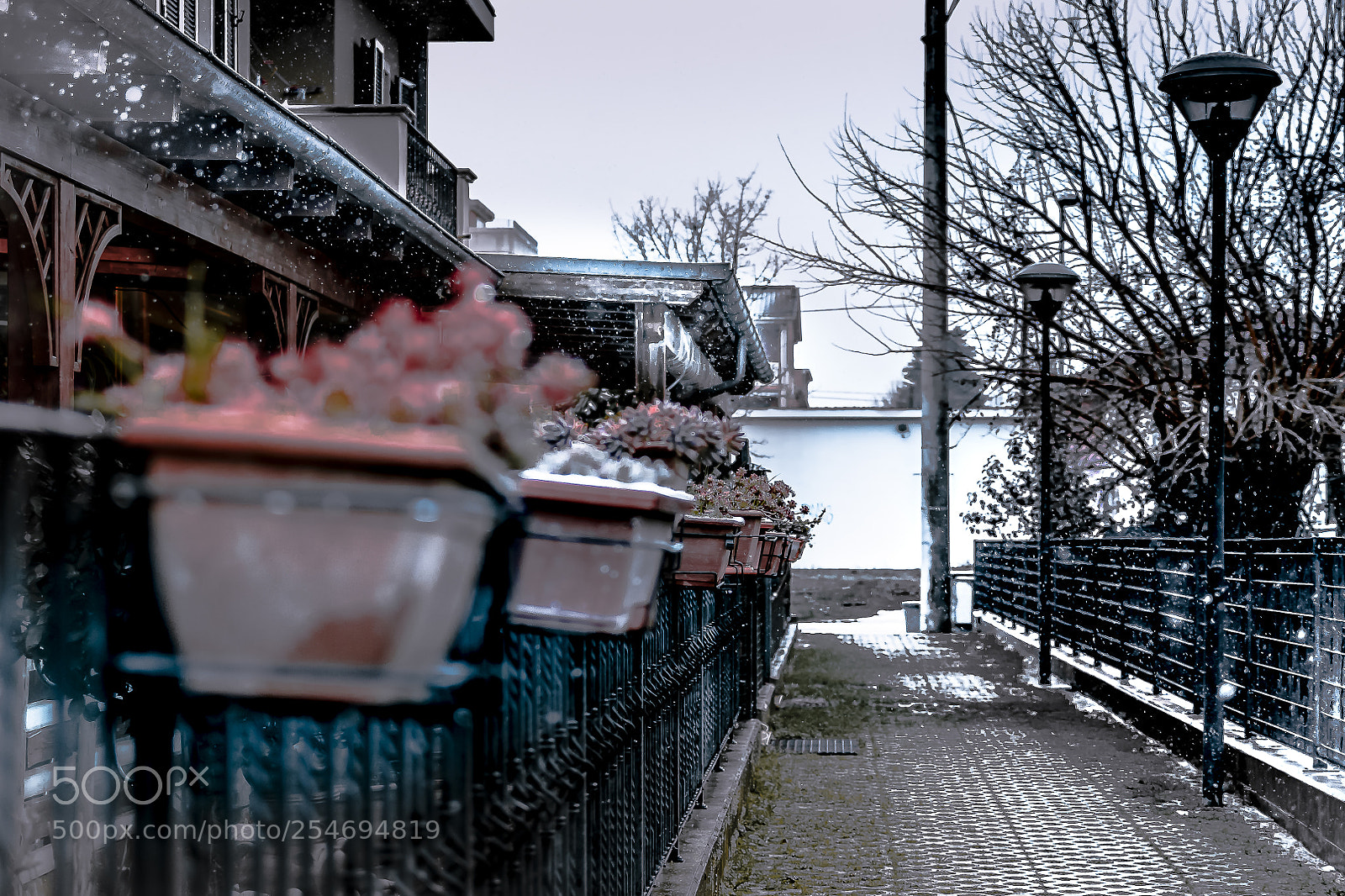 Nikon D5500 sample photo. Lucrezia neve photography