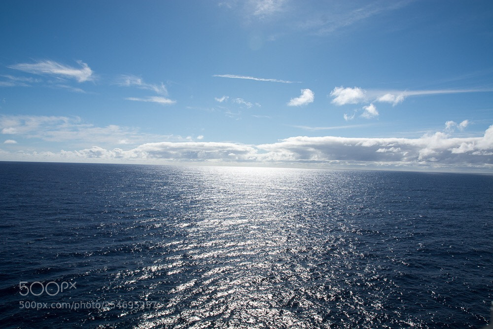 Nikon D7100 sample photo. Untitled photography