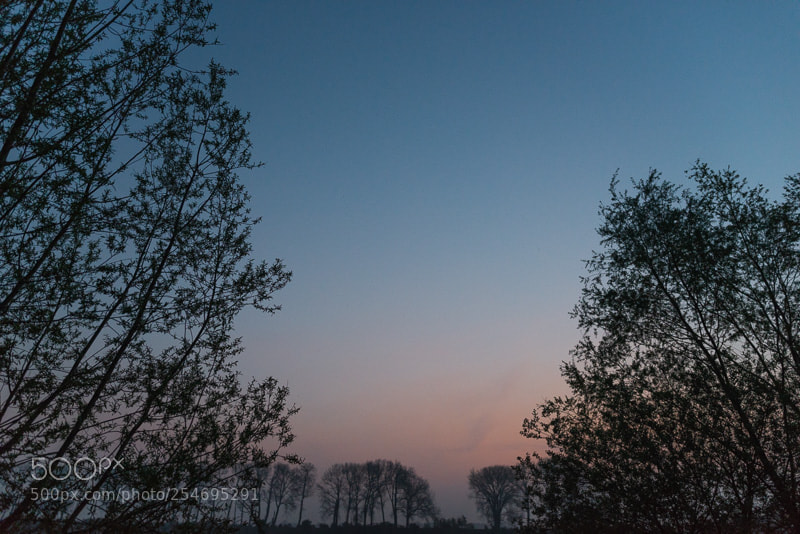 Nikon D800 sample photo. Beauty above the lake photography