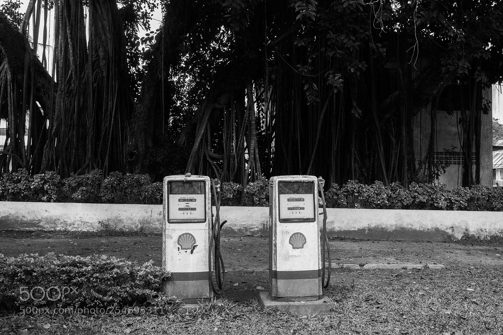 Panasonic Lumix DMC-GH4 sample photo. Laos, january 2018 photography