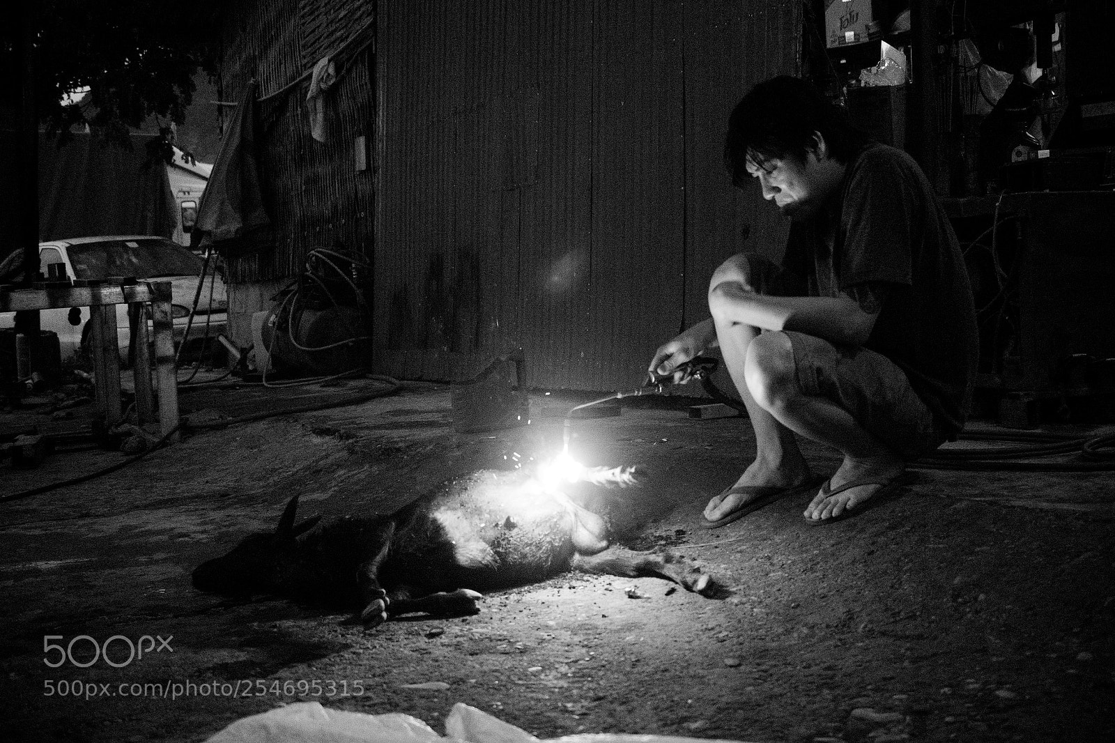 Panasonic Lumix DMC-GH4 sample photo. Laos, january 2018 photography