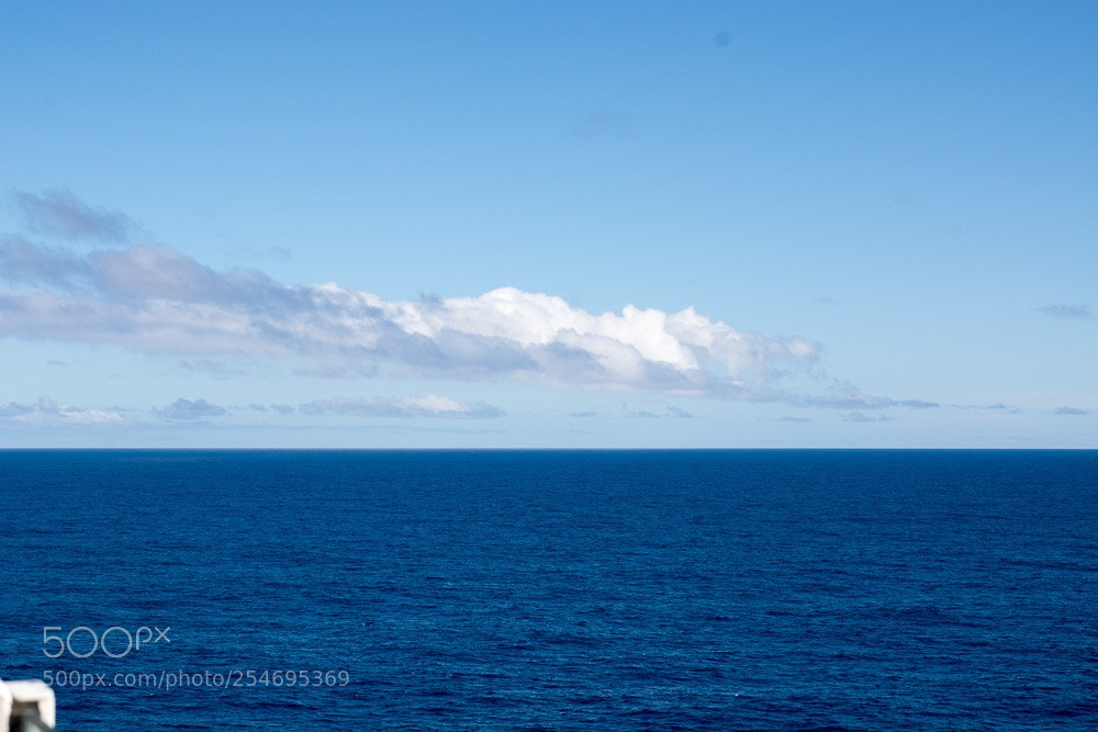 Nikon D7100 sample photo. Untitled photography
