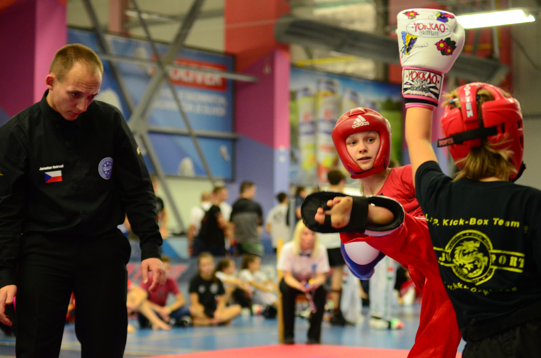 Sigma 50-150mm F2.8 EX APO DC HSM sample photo. Girls fighting photography