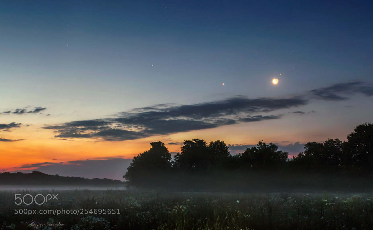 Canon EOS 60D sample photo. Cold dawn photography