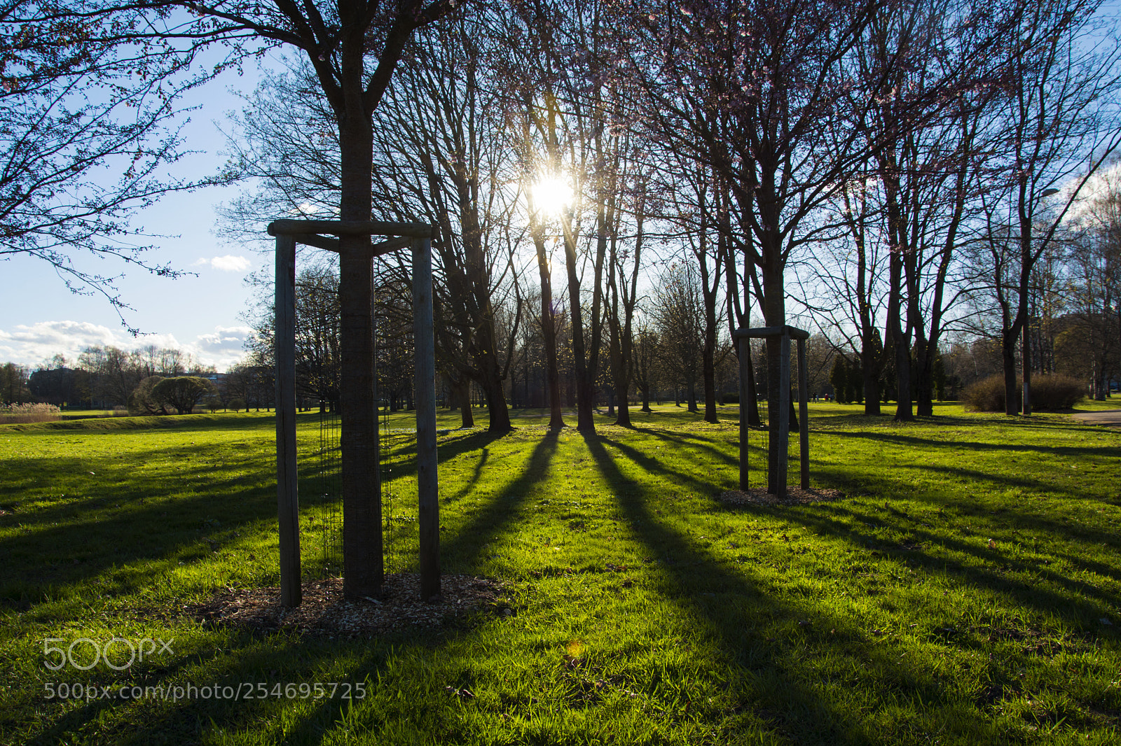 Nikon D5200 sample photo. Victory park photography