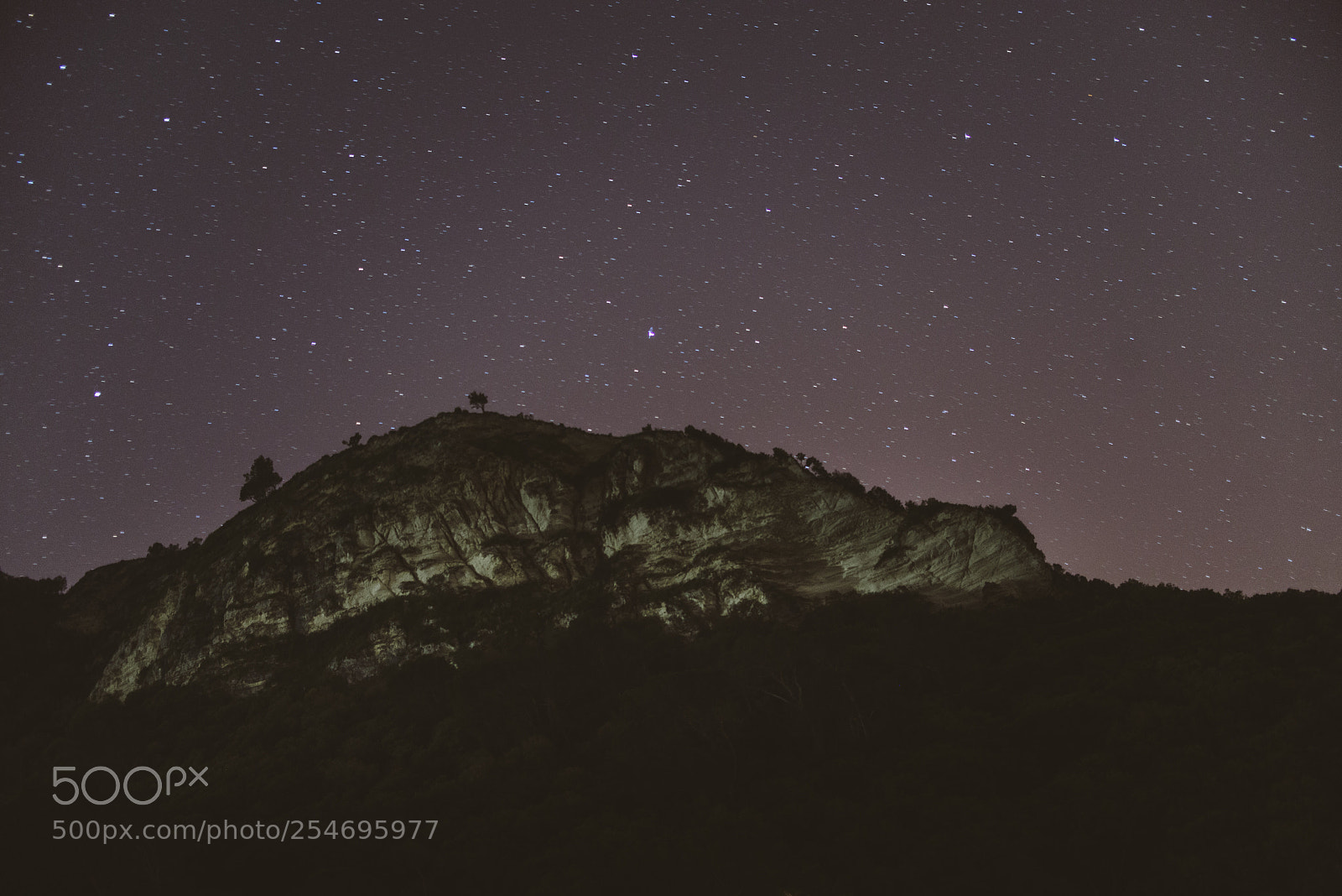 Nikon D610 sample photo. . photography