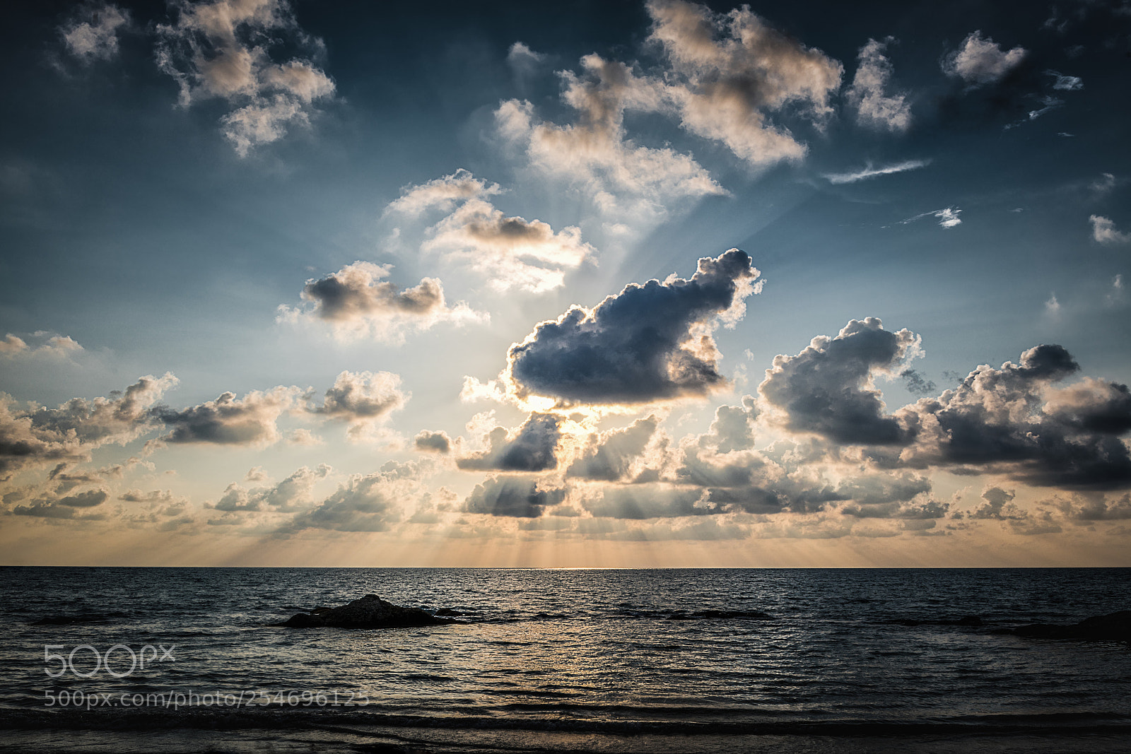 Nikon D850 sample photo. Sun|kissed photography