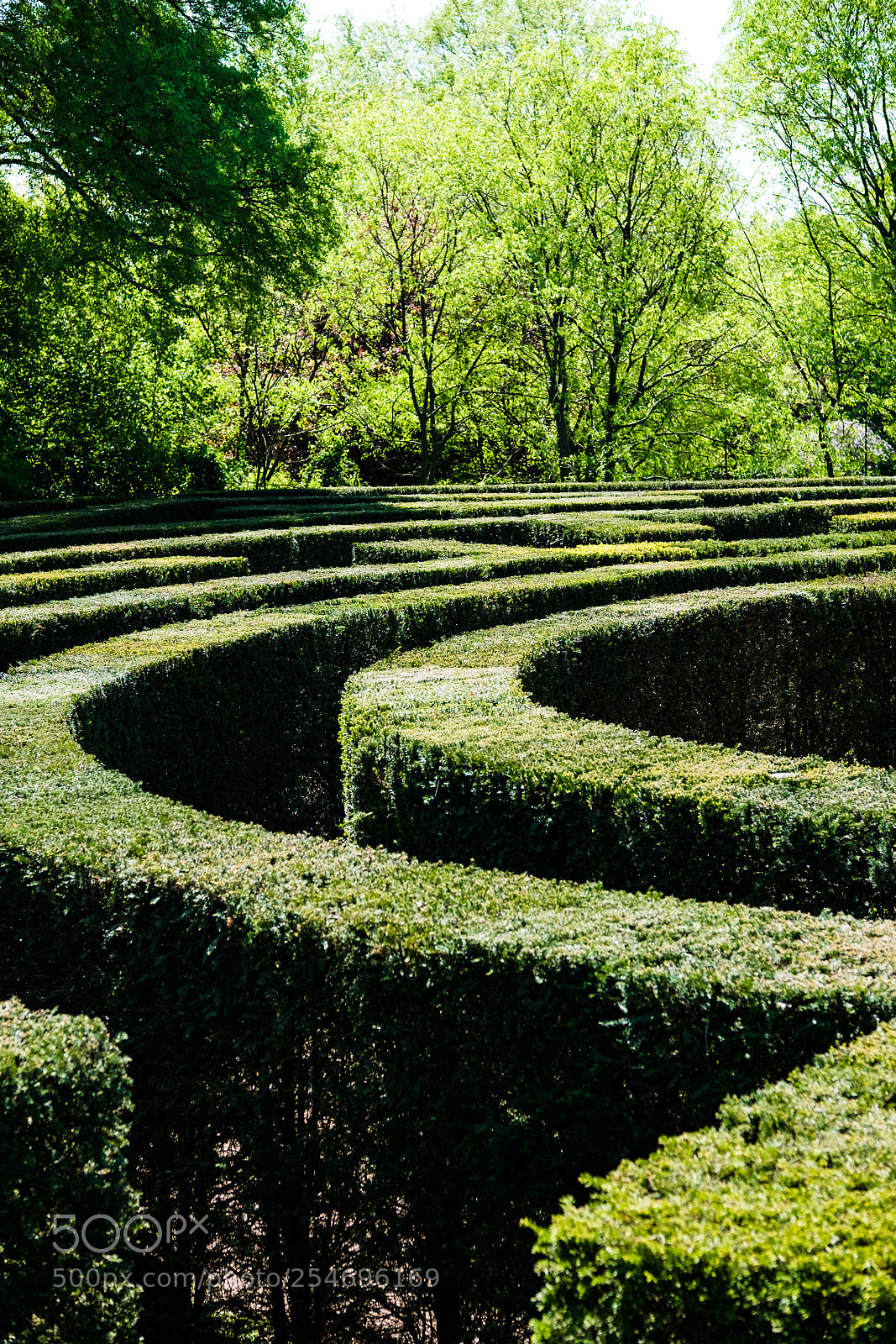 Fujifilm X-T10 sample photo. ... the labyrinth... photography