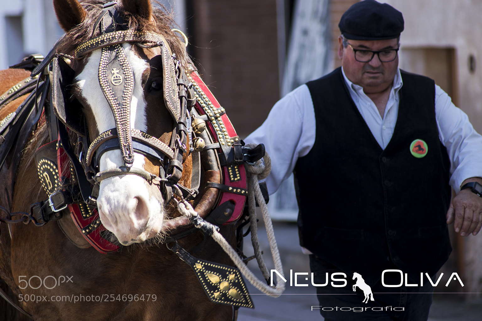 Canon EOS 80D sample photo. Horse photography