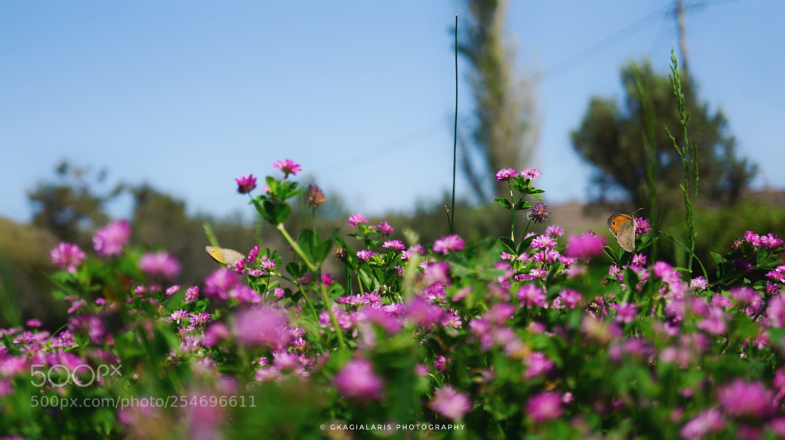 Sony a6000 sample photo. Untitled photography