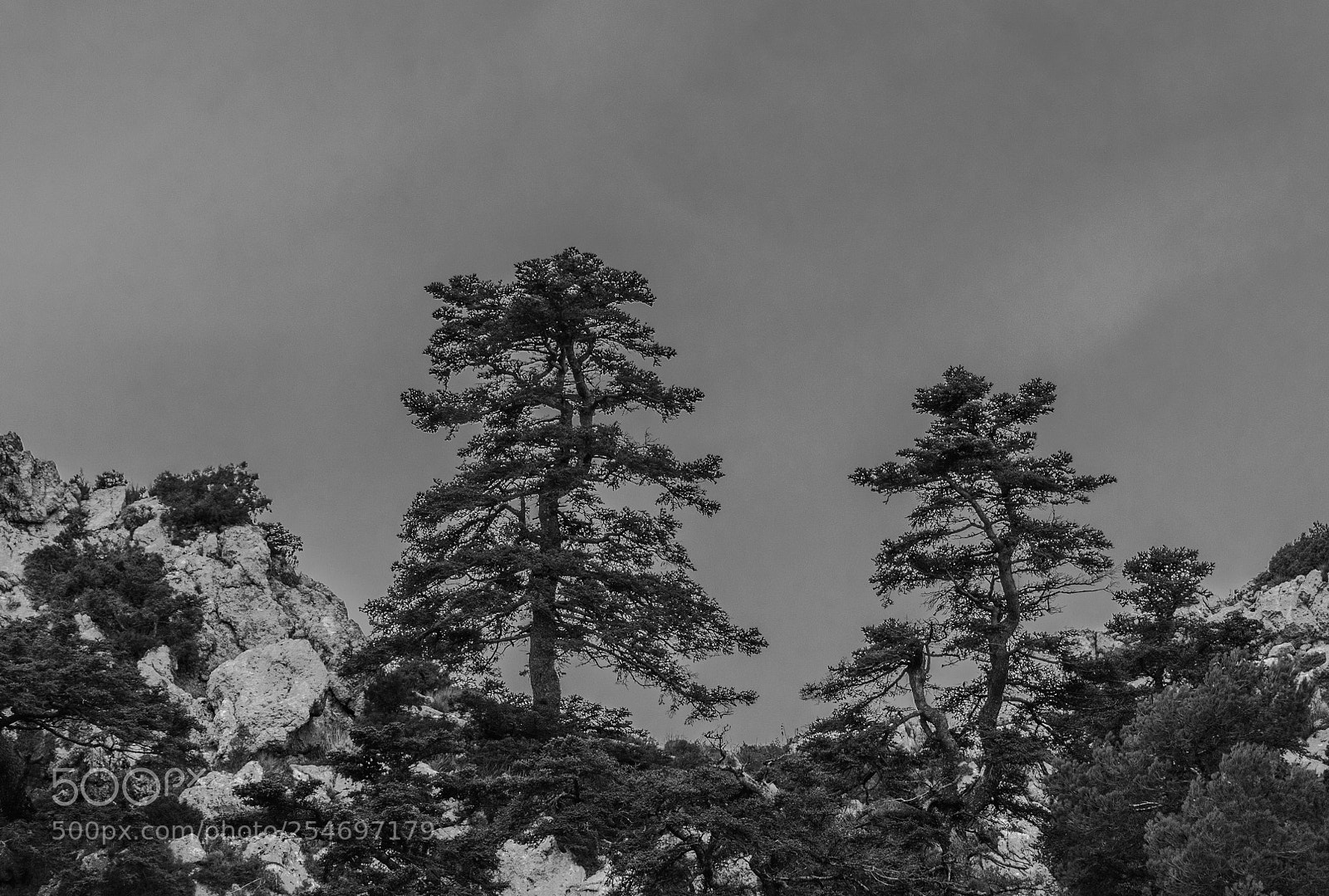 Nikon D5300 sample photo. Pinsapo landscape photography