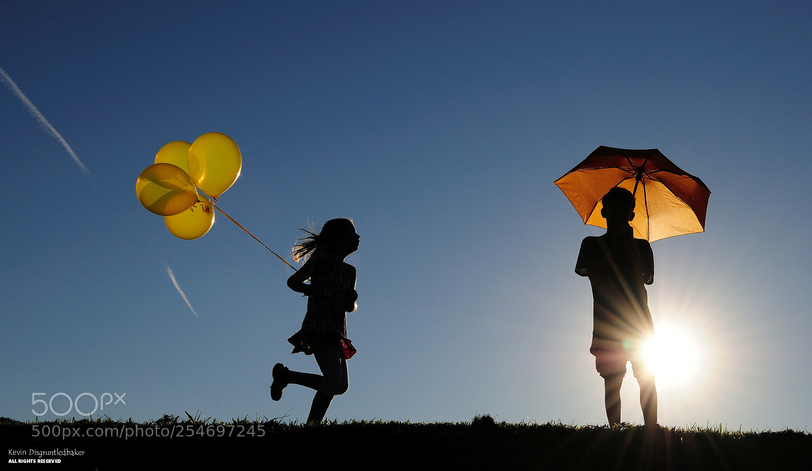 Nikon D90 sample photo. All yellow  photography
