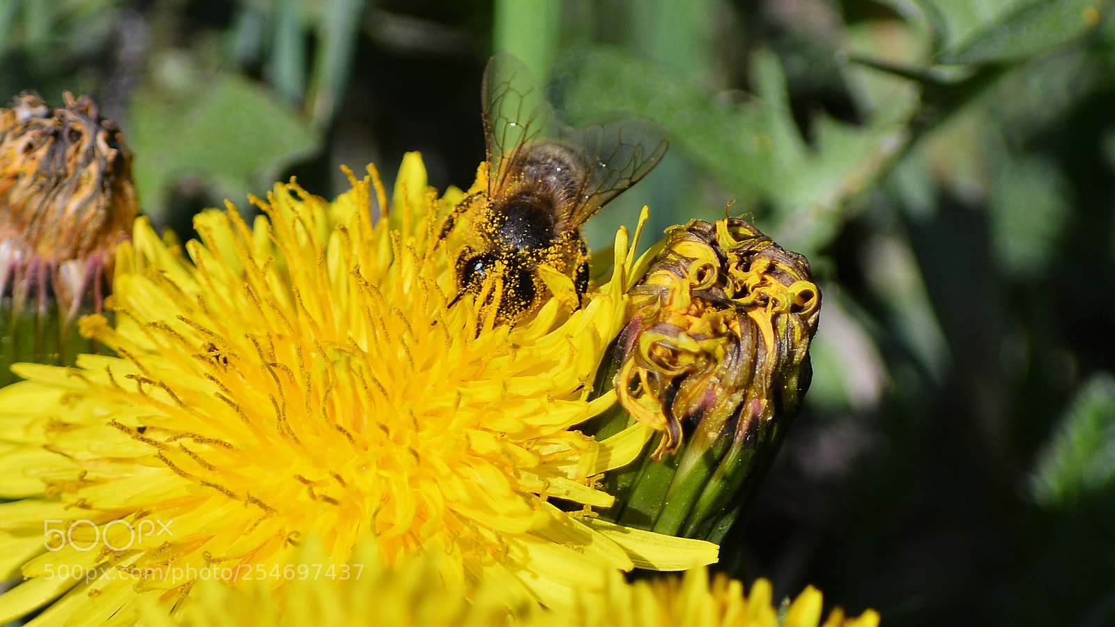 Nikon D3200 sample photo. Untitled photography