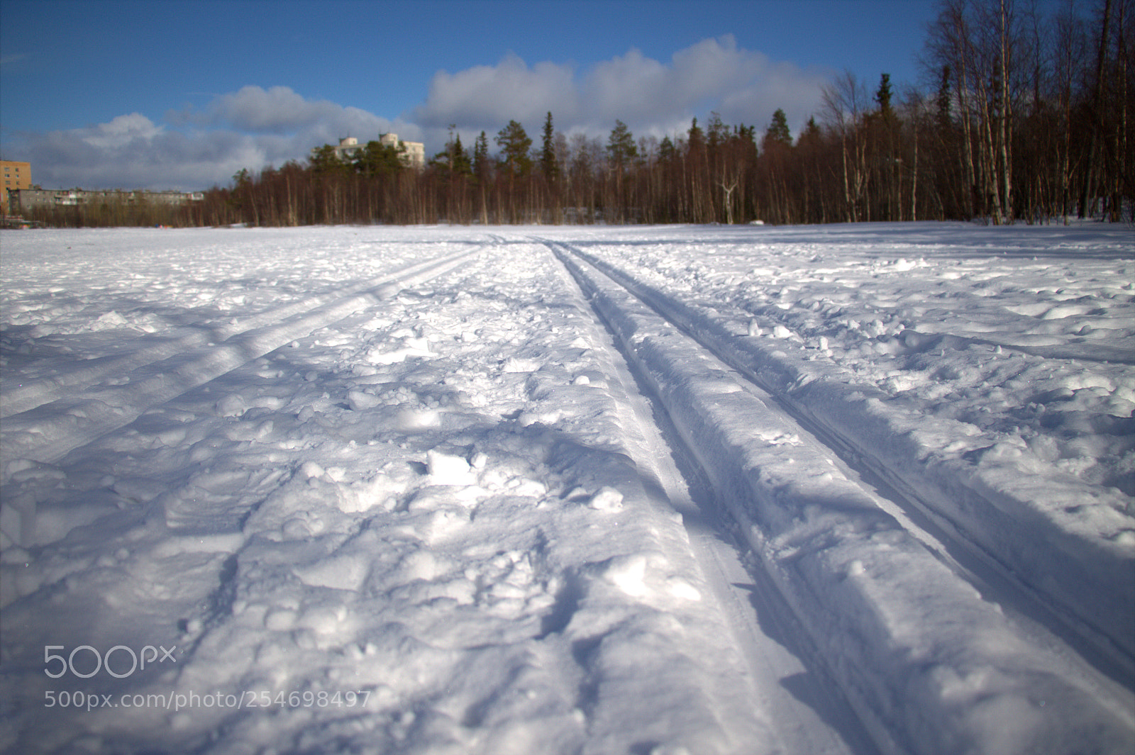 Canon EOS 1100D (EOS Rebel T3 / EOS Kiss X50) sample photo. На лыжне / on the ski track photography