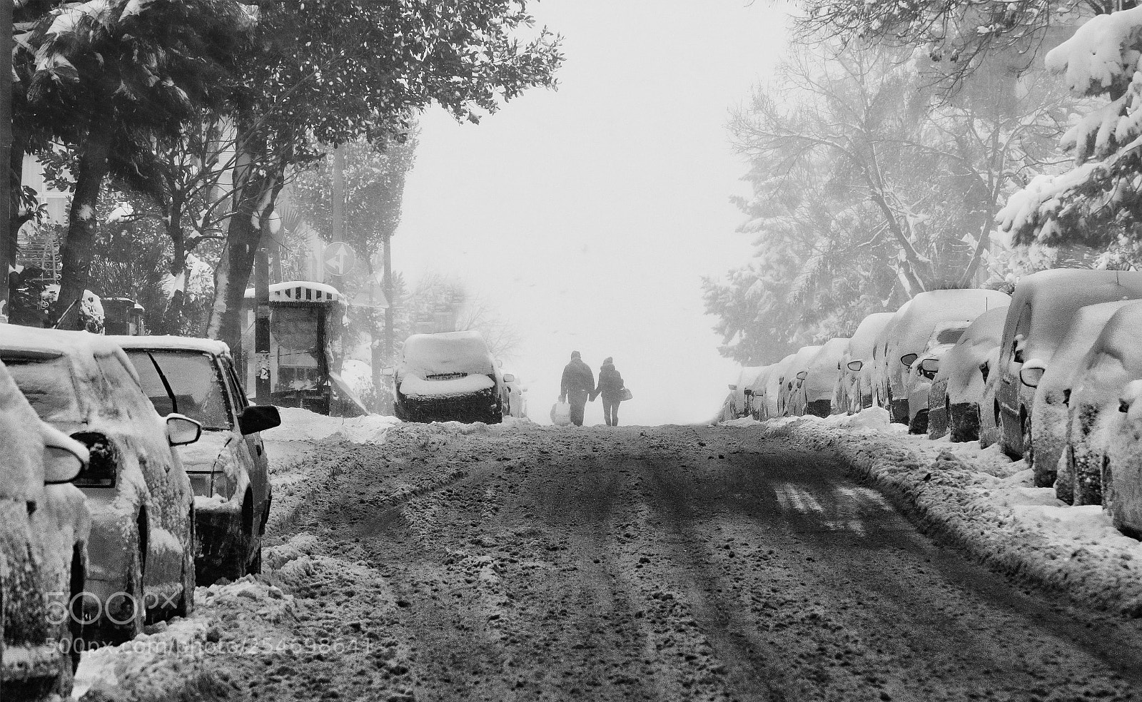 Sony SLT-A77 sample photo. Snow photography