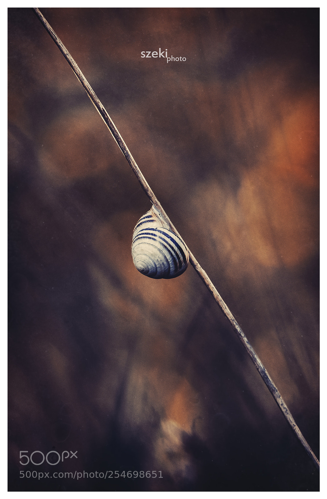 Pentax K-3 II sample photo. Homeland photography