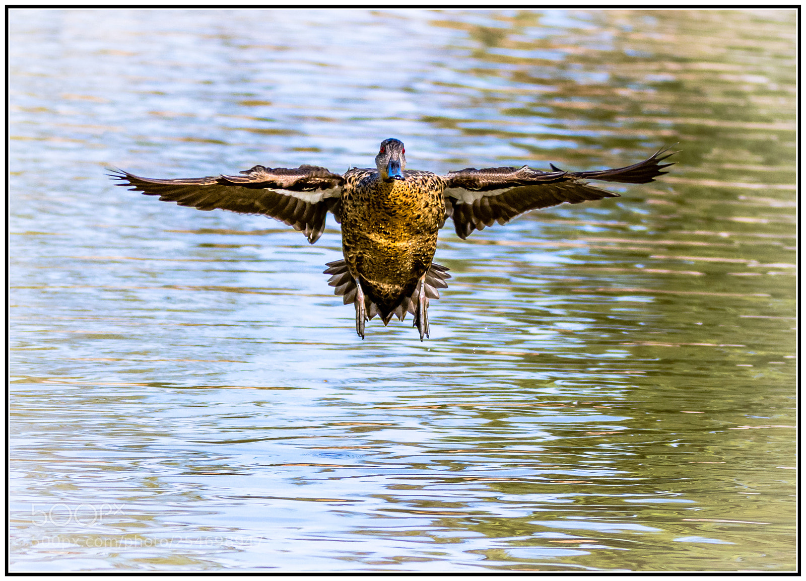 Nikon D7200 sample photo. Brace for a heavy photography