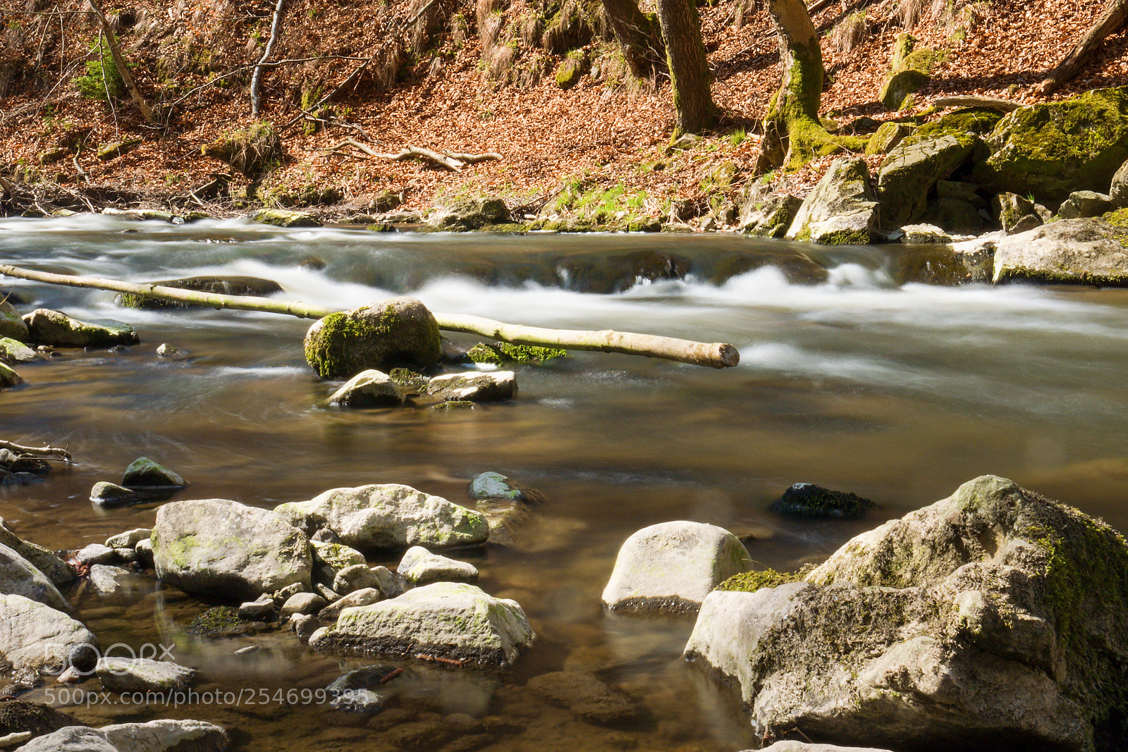 Panasonic Lumix DMC-GX7 sample photo. River - doubrava 1 photography