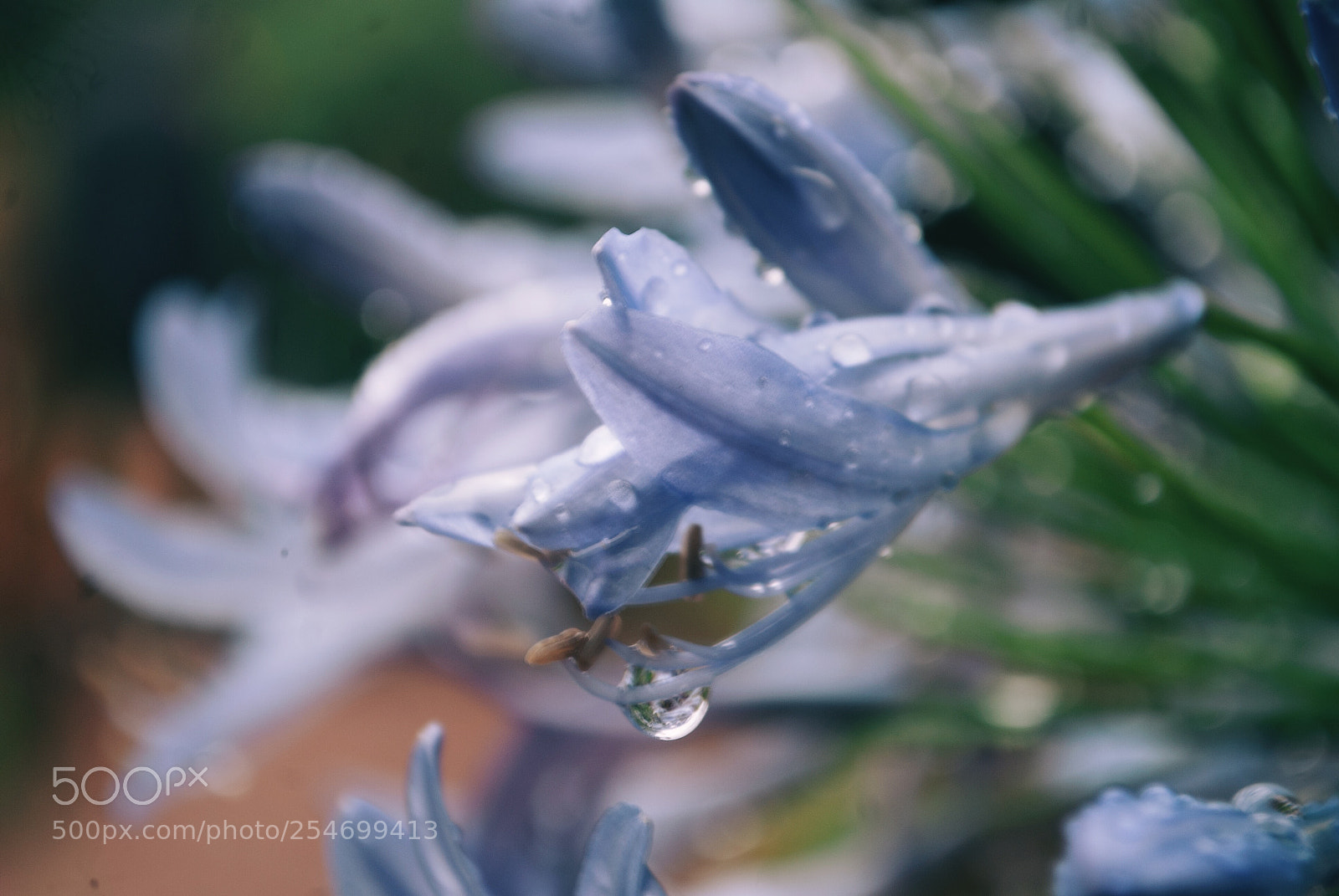 Nikon D60 sample photo. Untitled photography