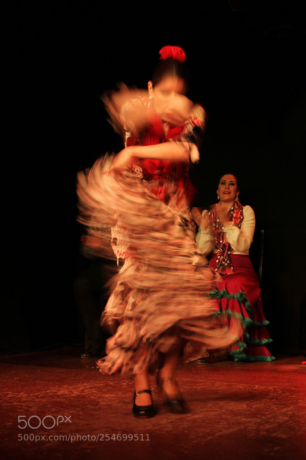 Canon EOS 60D sample photo. The fire of flamenco 6 photography